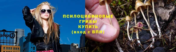 ПСИЛОЦИБИНОВЫЕ ГРИБЫ Магадан