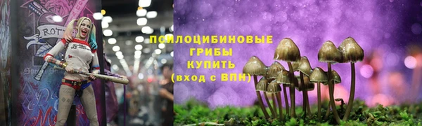 ПСИЛОЦИБИНОВЫЕ ГРИБЫ Магадан