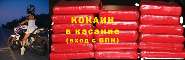 твердый Майский