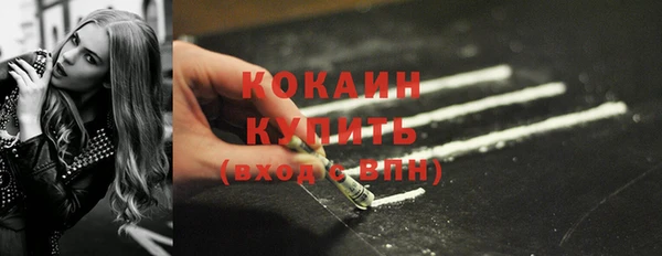 твердый Майский
