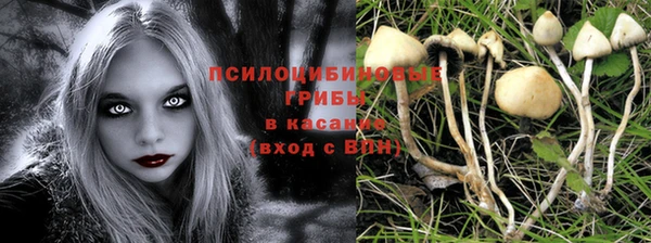 твердый Майский